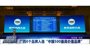 【媒体聚焦】28圈游戏作为环保产业唯逐一家企业入选2022年中国500最具价值品牌