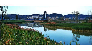 喜报！28圈游戏荣获天水、银川市构筑业“评先评优”多项奖项