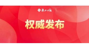 陈刚：标本兼治疏堵结合纵深推动排查整治，推动有色金属出格是关键金属产业高质量发展
